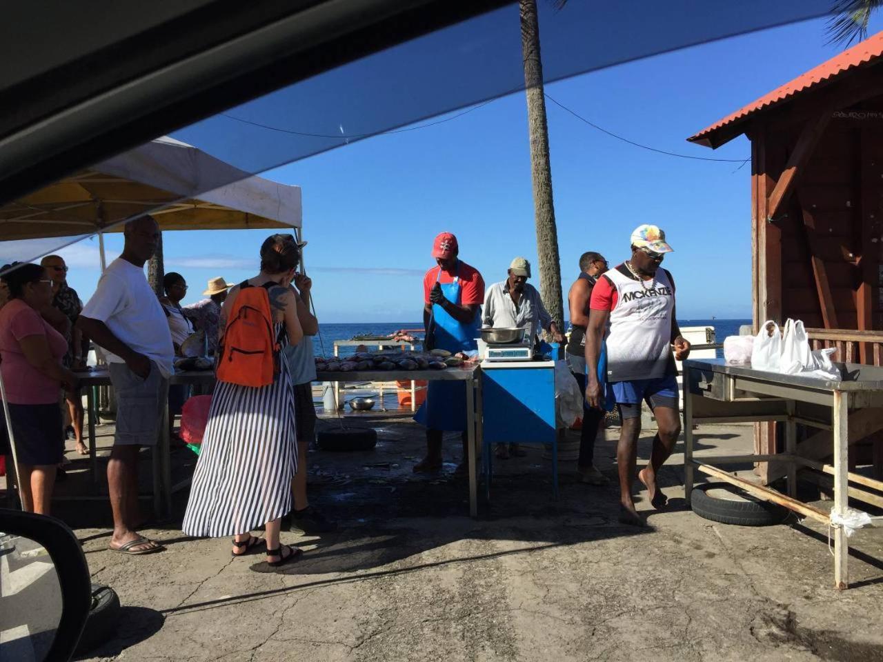 T2 Tropical En Bord De Piscine A 100M De La Mer Daire Le Carbet Dış mekan fotoğraf