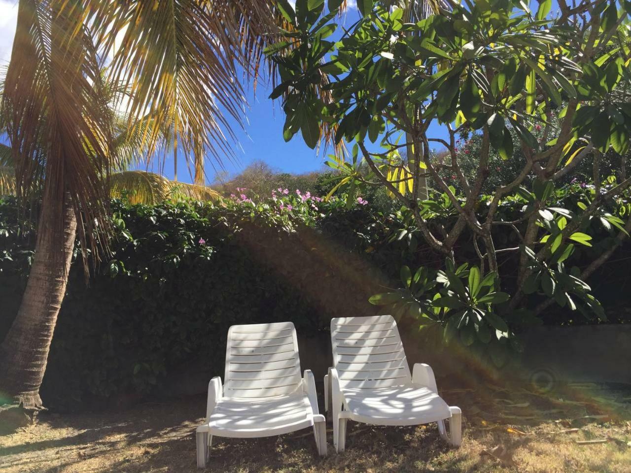 T2 Tropical En Bord De Piscine A 100M De La Mer Daire Le Carbet Dış mekan fotoğraf