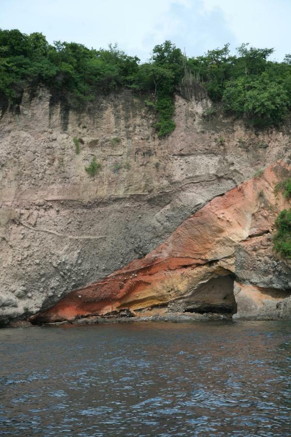 T2 Tropical En Bord De Piscine A 100M De La Mer Daire Le Carbet Dış mekan fotoğraf